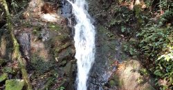 Sítio de 22 Hectares no Distrito de Taquaras – Próximo a Rancho Queimado- Recanto das Cachoeiras.