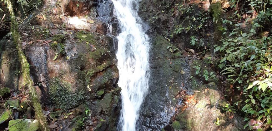 Sítio de 22 Hectares no Distrito de Taquaras – Próximo a Rancho Queimado- Recanto das Cachoeiras.