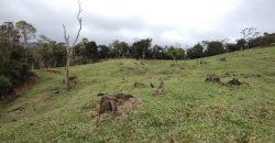 Sítio de 33 hectares no Rio das Antas – Rancho Queimado – SC