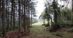 Sítio de 33 hectares no Rio das Antas – Rancho Queimado – SC