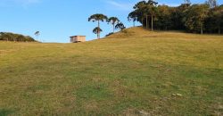 Sitio de 27 hectares bem aproveitáveis no Vargedo – Rancho Queimado – SC