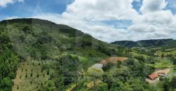 Área rural de 7,8 hectares no Bairro Mato Francês – Rancho Queimado/SC.