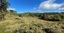 Lindo terreno de 3 hectares – Queimada Grande – Rancho Queimado/SC