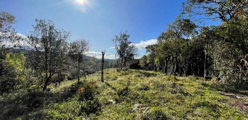 Lindo terreno de 3 hectares – Queimada Grande – Rancho Queimado/SC