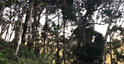 Condomínio Lago Negro – Chácara 01 Cedros – Rancho Queimado – SC