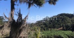 Terreno – Sítio de 31 hectares – Rancho Queimado