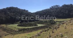 Terreno – Sítio de 31 hectares – Rancho Queimado