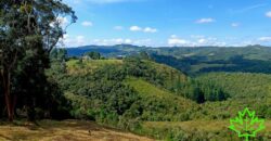Chácara com vista. Condomínio Costa da Serra – Rancho Queimado – SC – J17