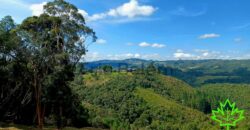 Chácara com vista. Condomínio Costa da Serra – Rancho Queimado – SC – J17