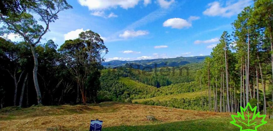 Chácara com vista. Condomínio Costa da Serra – Rancho Queimado – SC – J17