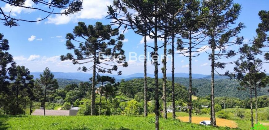 CHÁCARA COM 4.594m² – CONDOMINIO AMIGOS DO RANCHO