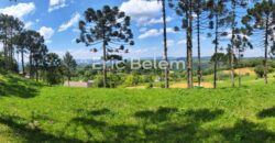 CHÁCARA COM 4.594m² – CONDOMINIO AMIGOS DO RANCHO