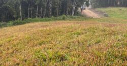 Terreno 10 Alameda das Palmeiras – Lago Negro