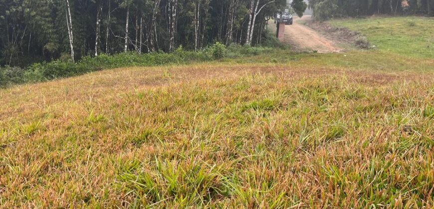 Terreno 10 Alameda das Palmeiras – Lago Negro