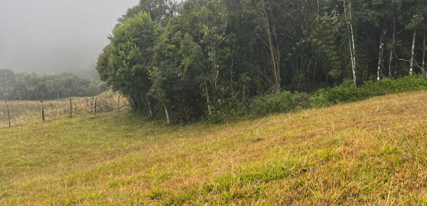 Terreno 10 Alameda das Palmeiras – Lago Negro