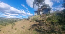 Casa com vista e Araucárias. Perfeita para a família – Condomínio Amigos do Rancho – Rancho Queimado – SC