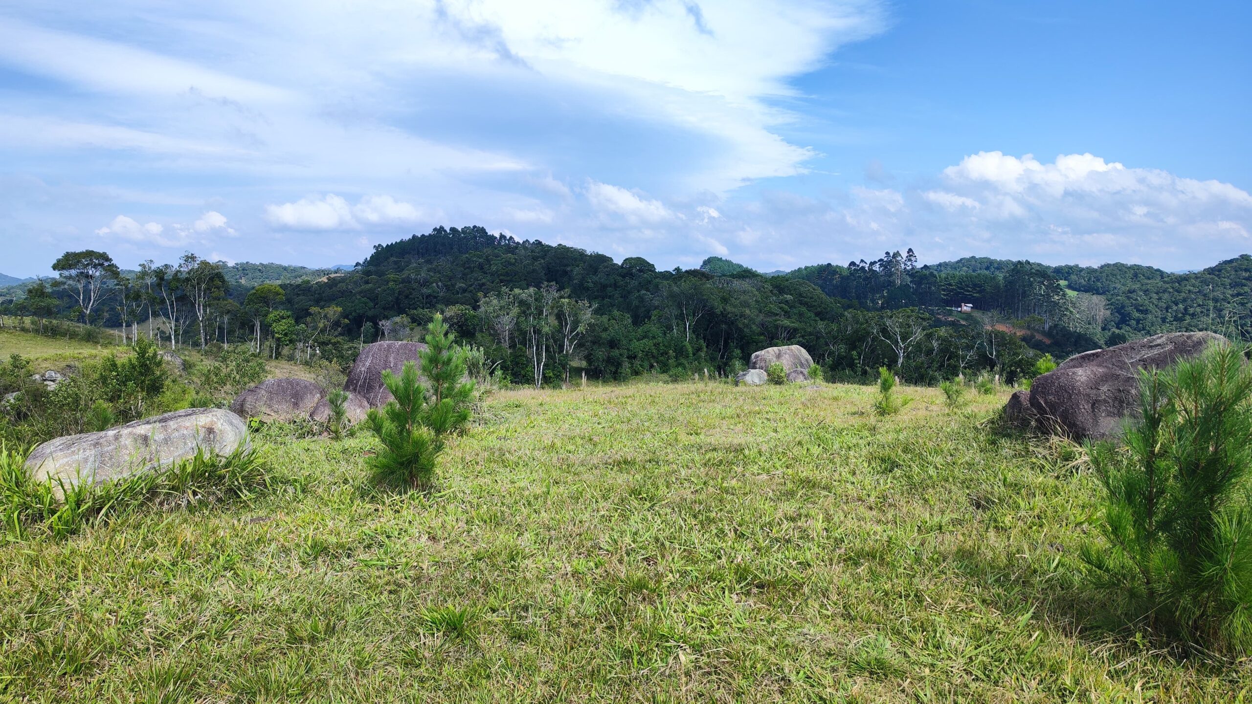 Sítio de 4 hectares com vista excelente e muito aproveitável – Rio Capivaras – Rancho Queimado – SC