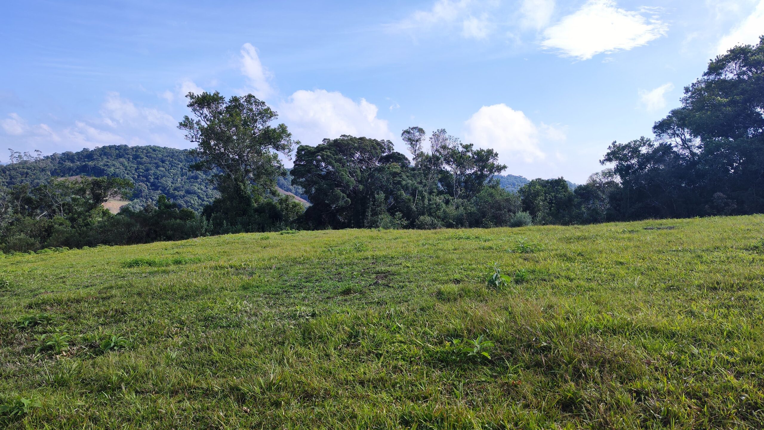 Sítio de 4 hectares com vista excelente e muito aproveitável – Rio Capivaras – Rancho Queimado – SC
