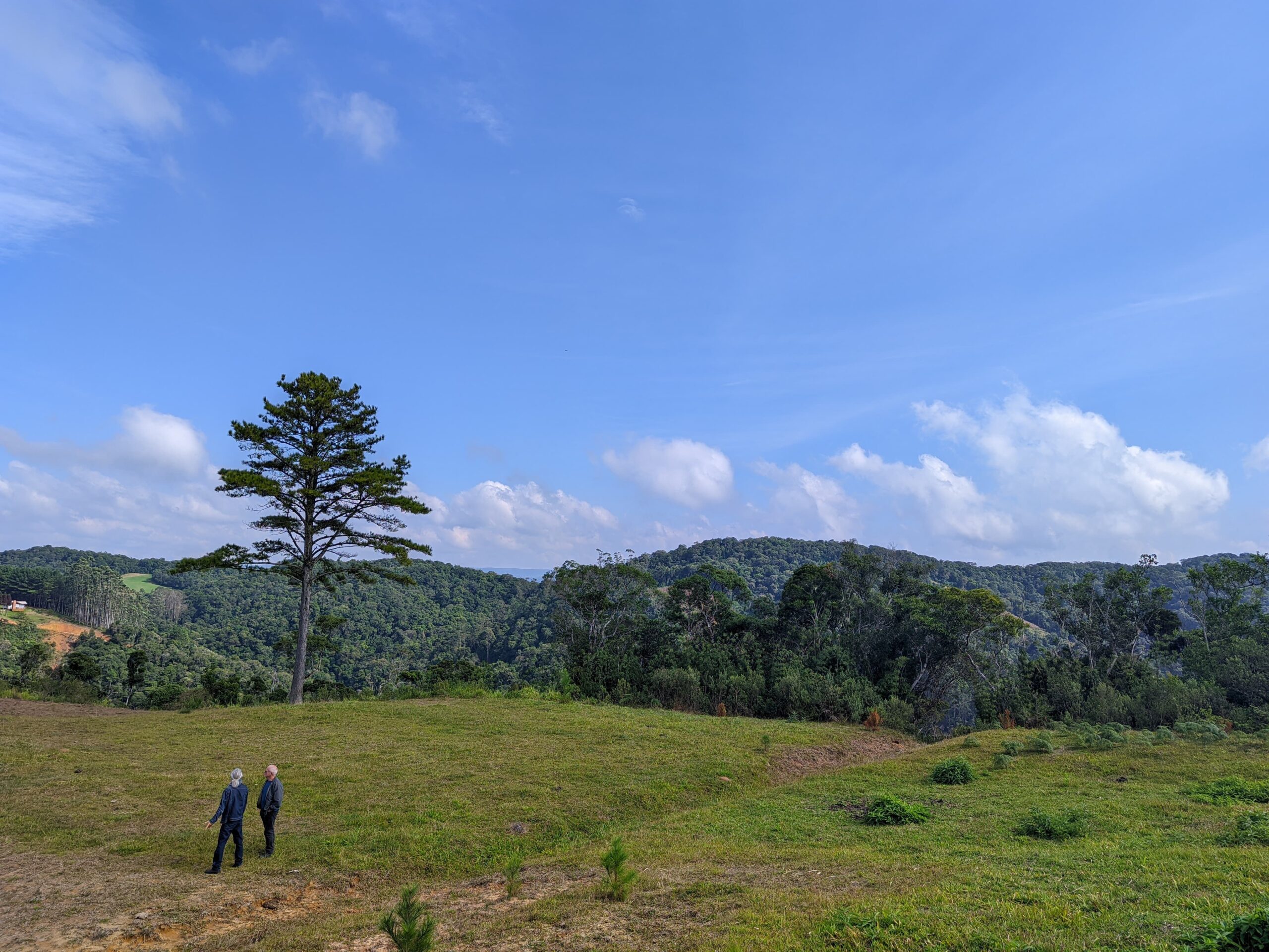 Sítio de 4 hectares com vista excelente e muito aproveitável – Rio Capivaras – Rancho Queimado – SC