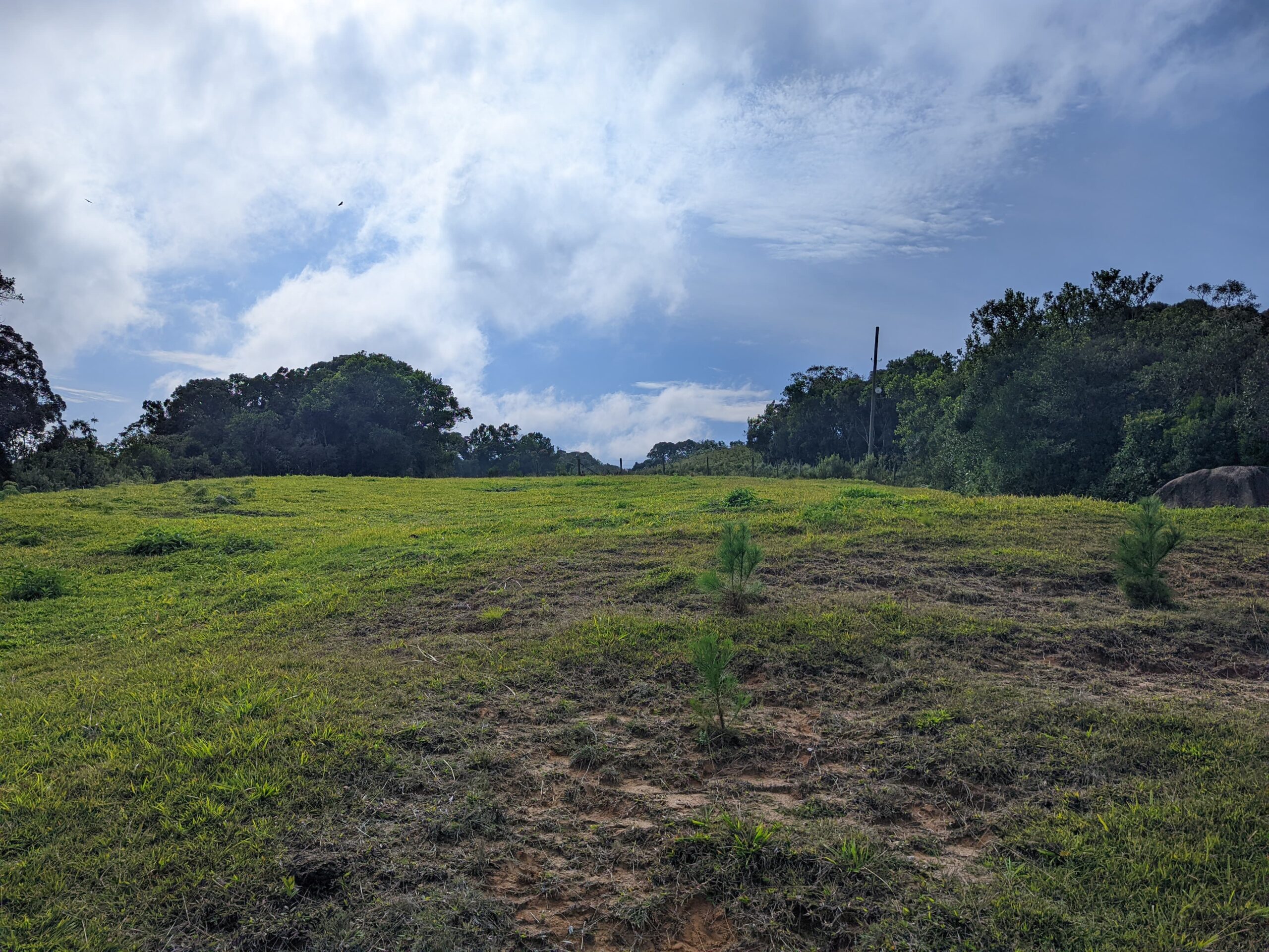Sítio de 4 hectares com vista excelente e muito aproveitável – Rio Capivaras – Rancho Queimado – SC