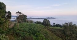 Casa com vista e Araucárias. Perfeita para a família – Condomínio Amigos do Rancho – Rancho Queimado – SC