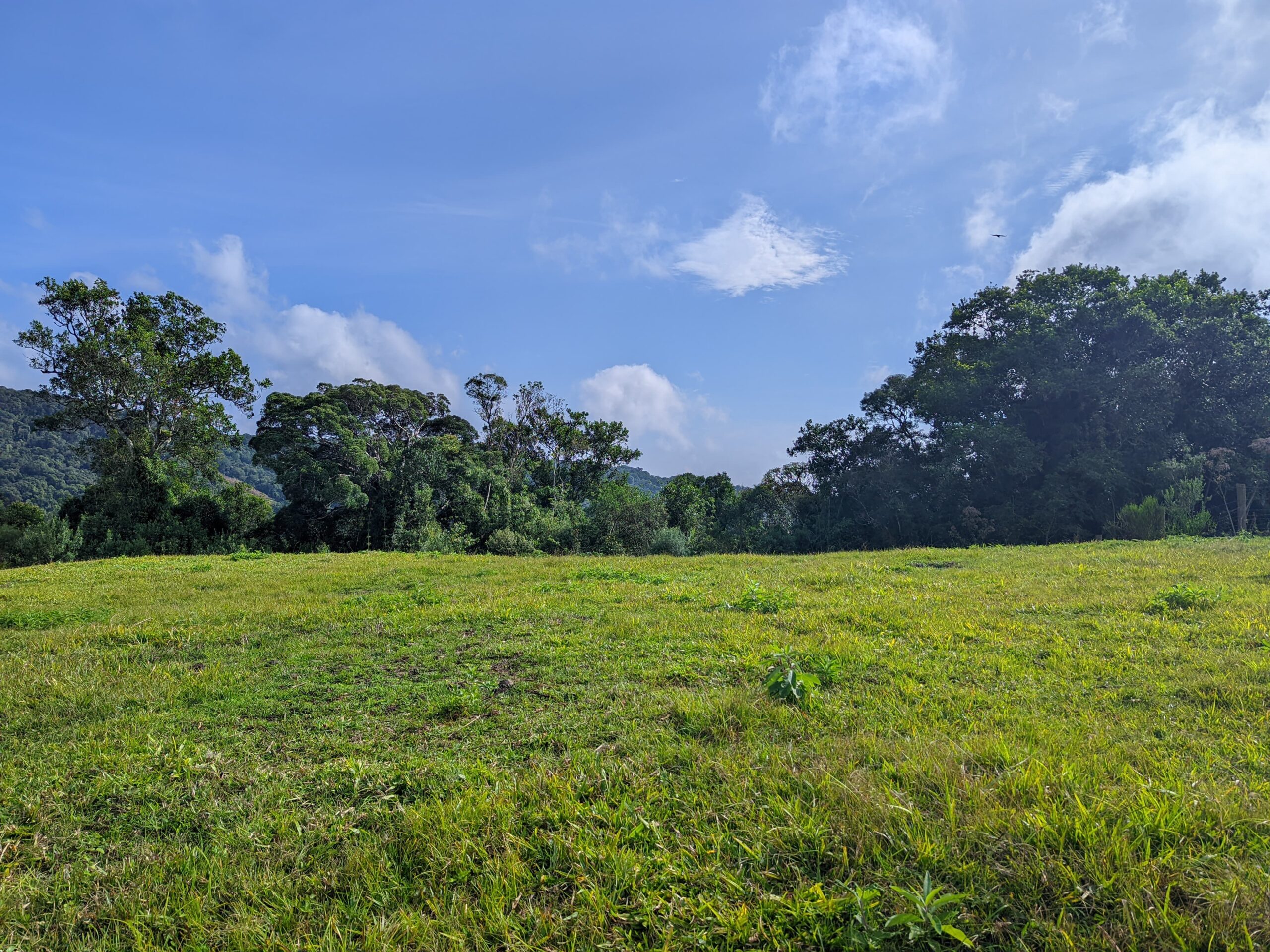 Sítio de 4 hectares com vista excelente e muito aproveitável – Rio Capivaras – Rancho Queimado – SC