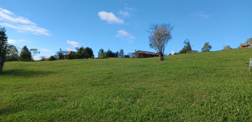 Chácara com 4.149m², plano e vista excepcional no Condomínio Amigos do Rancho – Rancho Queimado – SC – D4