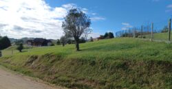 Chácara com 4.149m², plano e vista excepcional no Condomínio Amigos do Rancho – Rancho Queimado – SC – D4