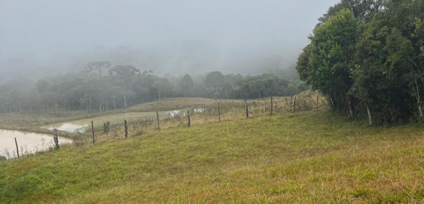 Terreno 10 Alameda das Palmeiras – Lago Negro
