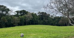 Costa da Serra – J13 Villa da Cachoeira