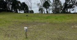C1 Golf Costa da Serra