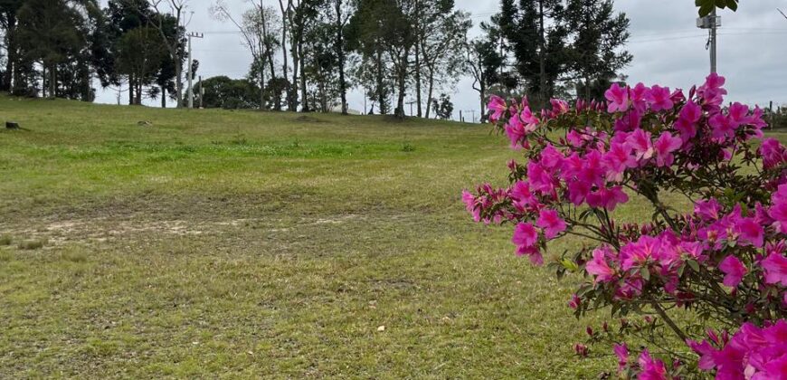C1 Golf Costa da Serra