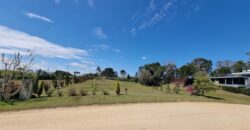 Terreno Exclusivo no Condomínio Costa da Serra – C 5 – 1.036m² + Projeto Aprovado