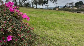 C1 Golf Costa da Serra