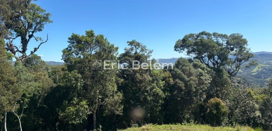 Terreno de 3 Hectares com Vista Panorâmica – Morro Chato, Rancho Queimado/SC