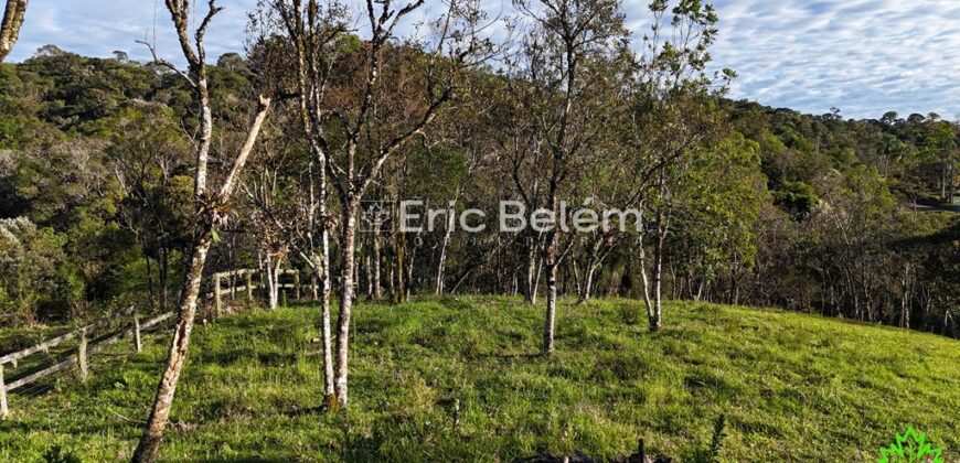 Chácara 6.000m² Escriturada com Lagoa – Morro Chato, Rancho Queimado/SC