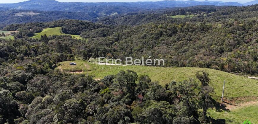 Terreno de 3 Hectares com Vista Panorâmica – Morro Chato, Rancho Queimado/SC