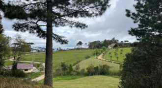 Terreno 01  Cedros Lago Negro