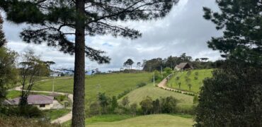 Terreno 01  Cedros Lago Negro