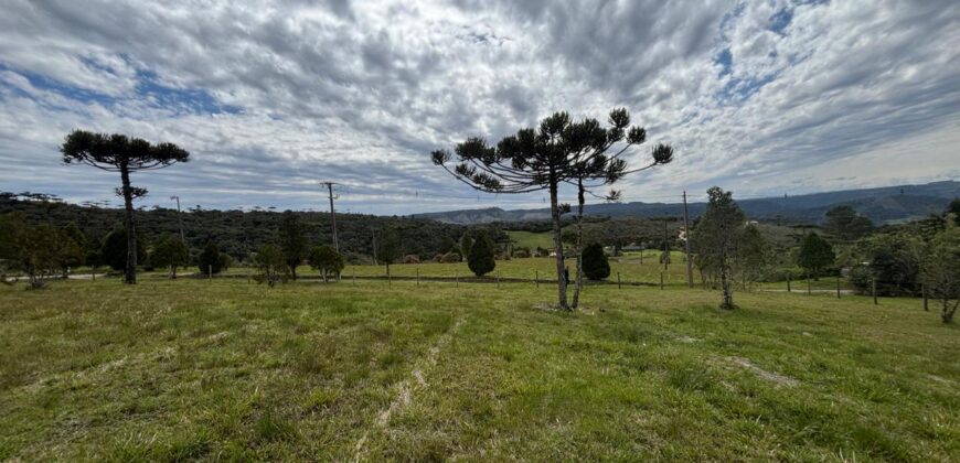 Terreno dos Sonhos no Vila Dorf