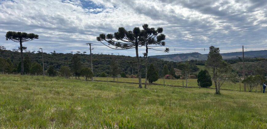 Terreno dos Sonhos no Vila Dorf