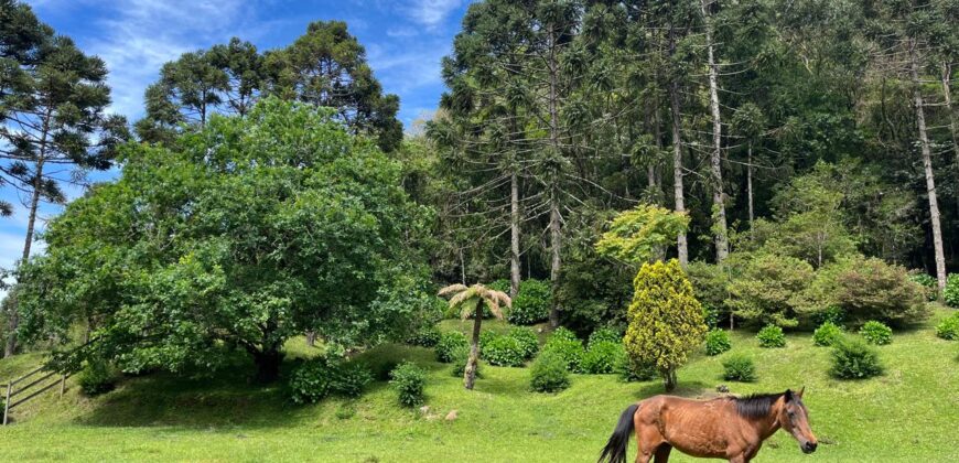 Charmoso Sítio com 14 hectares