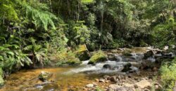 Charmoso Sítio com 14 hectares