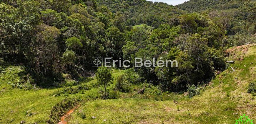 Terreno Rural de 3,3 Hectares com Riacho e Nascente – Rio Capivaras, Rancho Queimado/SC