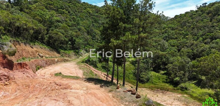 Terreno Rural de 3,3 Hectares com Riacho e Nascente – Rio Capivaras, Rancho Queimado/SC