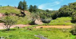 Terreno Rural de 3,3 Hectares com Riacho e Nascente – Rio Capivaras, Rancho Queimado/SC