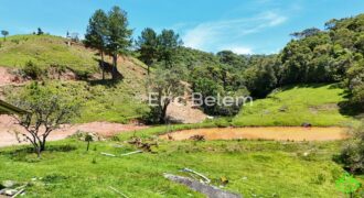 Terreno Rural de 3,3 Hectares com Riacho e Nascente – Rio Capivaras, Rancho Queimado/SC