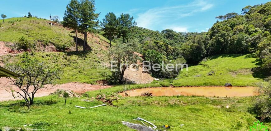 Terreno Rural de 3,3 Hectares com Riacho e Nascente – Rio Capivaras, Rancho Queimado/SC