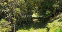 Terreno Rural de 3,3 Hectares com Riacho e Nascente – Rio Capivaras, Rancho Queimado/SC