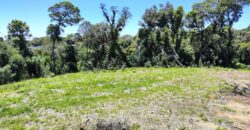 Chácara no Condomínio Lago Negro – Rancho Queimado – SC – 24 Xaxim